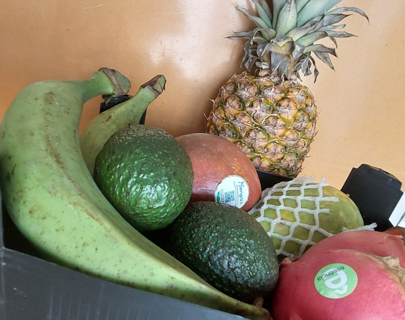 Cesta de Frutas Tropicales