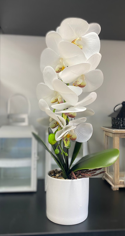 Orquidea Artificial Blanca 40 cm