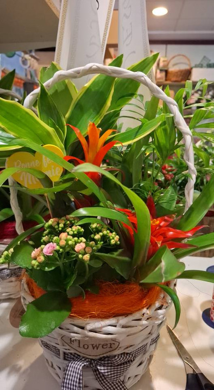 Floristería EL PUENTE 16