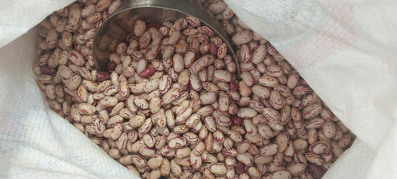 Alubia pinta a Granel 1 Kg