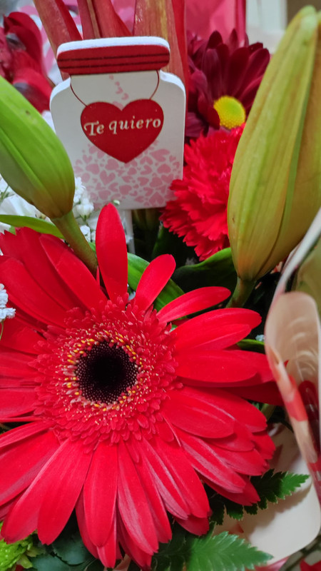 Floristería EL PUENTE 8