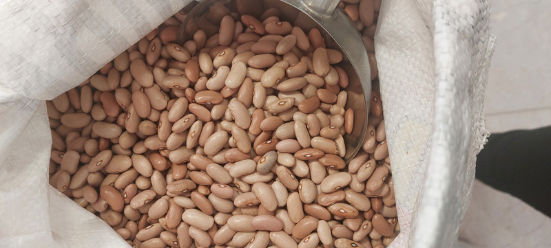 Alubia canela granel 1Kg